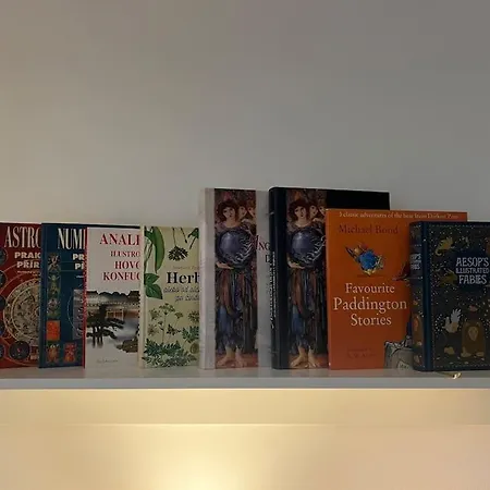 S Manzelskou Postelou
