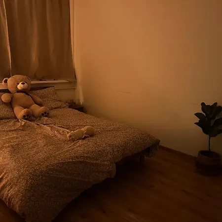 Apartamento S Manzelskou Postelou *