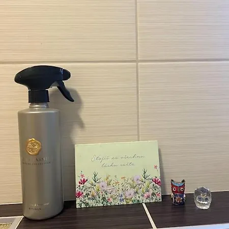 Appartement S Manzelskou Postelou *